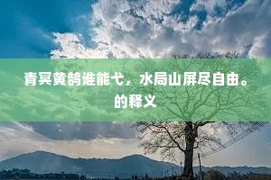 青冥黄鹄谁能弋，水局山屏尽自由。的释义