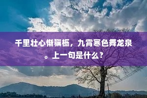千里壮心惭骥枥，九霄寒色舞龙泉。上一句是什么？