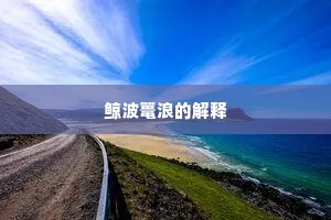 鲸波鼍浪的解释