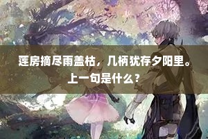 莲房摘尽雨盖枯，几柄犹存夕阳里。上一句是什么？