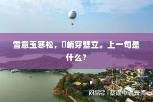 雪意玉寒松，奡峭穿壁立。上一句是什么？