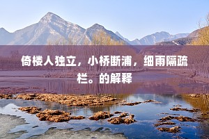 倚楼人独立，小桥断浦，细雨隔疏栏。的解释
