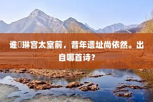 谁搆琳宫太室前，昔年遗址尚依然。出自哪首诗？