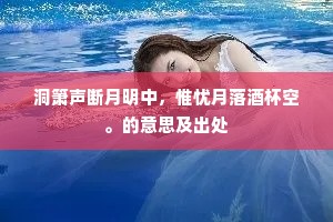 洞箫声断月明中，惟忧月落酒杯空。的意思及出处