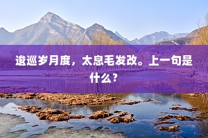 逡巡岁月度，太息毛发改。上一句是什么？