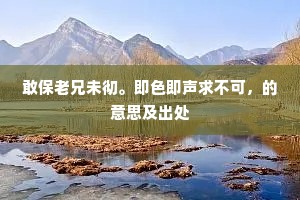 敢保老兄未彻。即色即声求不可，的意思及出处
