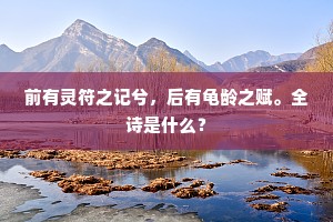 前有灵符之记兮，后有龟龄之赋。全诗是什么？