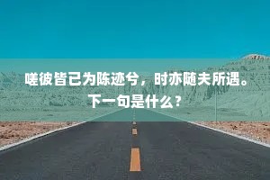 嗟彼皆已为陈迹兮,时亦随夫所遇。下一句是什么? 嗟彼皆已为陈迹兮,时亦随夫所遇。下一句是什么?