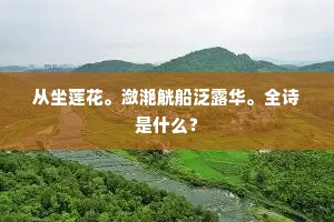 从坐莲花。潋滟觥船泛露华。全诗是什么？