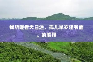 我所嗟者天日远，孤儿早岁违爷面。的解释