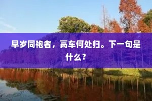 早岁同袍者，高车何处归。下一句是什么？