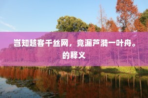 岂知越客千丝网，竟漏芦漪一叶舟。的释义