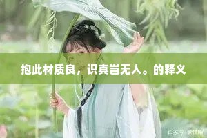 抱此材质良，识真岂无人。的释义