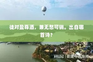 徒对盈尊酒，兼无愁可销。出自哪首诗？