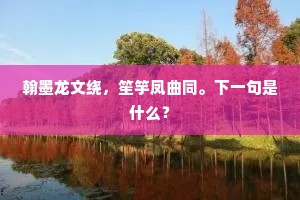 翰墨龙文绕，笙竽凤曲同。下一句是什么？