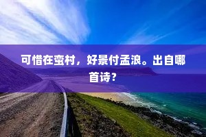 可惜在蛮村，好景付孟浪。出自哪首诗？