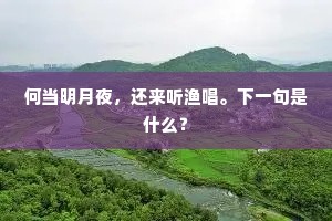 何当明月夜，还来听渔唱。下一句是什么？
