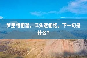 梦里惜相逢，江头远相忆。下一句是什么？