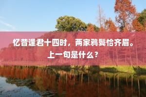 忆昔逢君十四时，两家鸦鬓恰齐眉。上一句是什么？