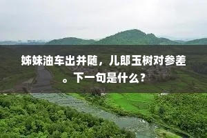 姊妹油车出并随，儿郎玉树对参差。下一句是什么？