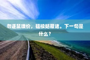 勿逐鼠璞价，韫椟姑藏诸。下一句是什么？