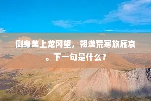 侧身莫上龙冈望，朔漠荒寒旅雁哀。下一句是什么？