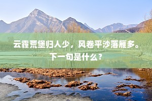 云霾荒堡归人少，风卷平沙落雁多。下一句是什么？