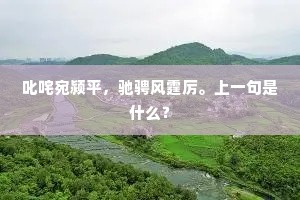 叱咤宛颍平，驰骋风霆厉。上一句是什么？