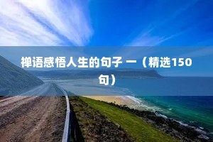 禅语感悟人生的句子 一（精选150句）