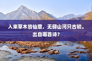 入来草木皆仙意，无碍山河只古初。出自哪首诗？