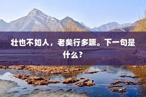 壮也不如人，老矣行多蹶。下一句是什么？