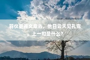 羽仪更养文章去，他日云天见孔鸾。上一句是什么？