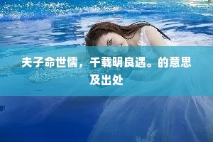 夫子命世儒，千载明良遇。的意思及出处