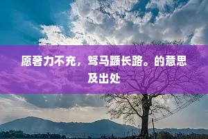 愿奢力不充，驽马踬长路。的意思及出处