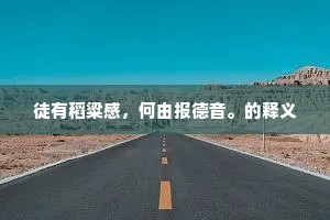 徒有稻粱感，何由报德音。的释义