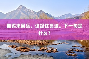 拥锡来吴岳，诠经住鲁城。下一句是什么？