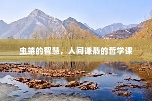 虫蜷的智慧，人间谦恭的哲学课
