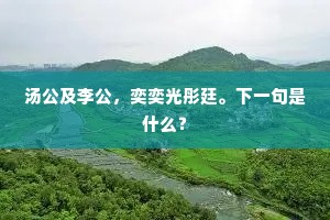 汤公及李公，奕奕光彤廷。下一句是什么？