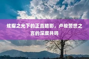 炫耀之光下的正直暗影，卢梭警世之言的深度共鸣