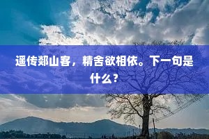 遥传郯山客，精舍欲相依。下一句是什么？