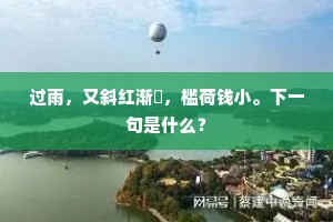 过雨，又斜红渐晞，槛荷钱小。下一句是什么？