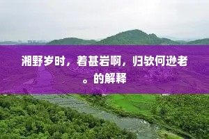 湘野岁时，着甚岩啊，归欤何逊老。的解释
