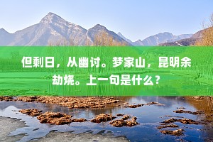 但剩日，从幽讨。梦家山，昆明余劫烧。上一句是什么？