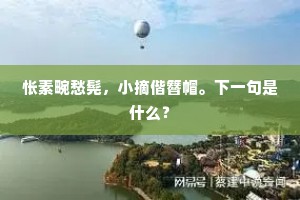 怅素畹愁髡，小摘偕簪帽。下一句是什么？