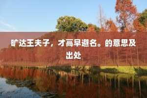 旷达王夫子，才高早避名。的意思及出处