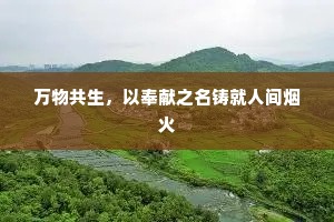 万物共生，以奉献之名铸就人间烟火