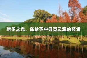 赠予之光，在给予中寻觅灵魂的尊贵