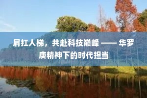 肩扛人梯，共赴科技巅峰 —— 华罗庚精神下的时代担当