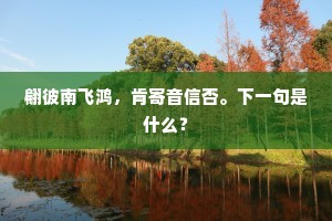 翩彼南飞鸿，肯寄音信否。下一句是什么？