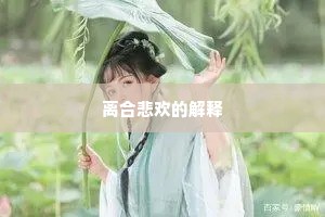 离合悲欢的解释